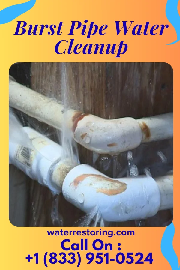 Burst Pipe Water Cleanup in Hollis Crossroads, AL